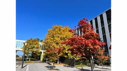 北海道大学生協 レストランポプラ