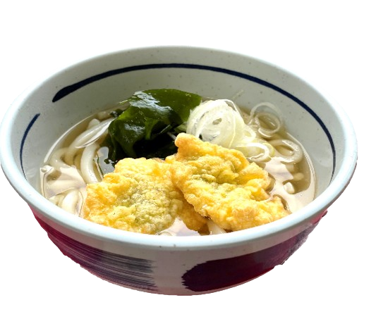 梅しそ鶏天うどん