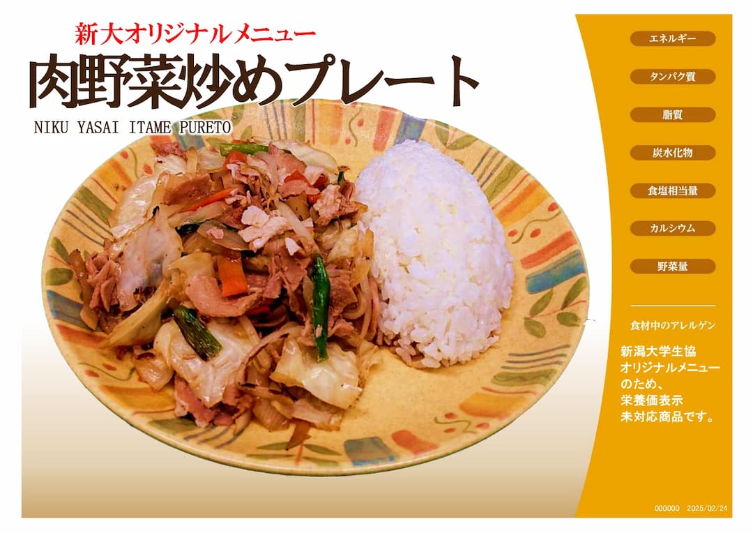 肉野菜炒めプレート