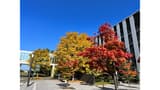 北海道大学生協 レストランポプラ